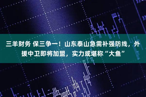 三羊财务 保三争一！山东泰山急需补强防线，外援中卫即将加盟，实力或堪称“大鱼”