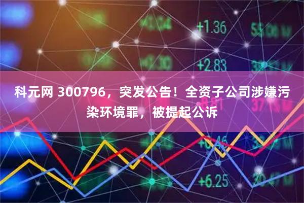 科元网 300796，突发公告！全资子公司涉嫌污染环境罪，被提起公诉